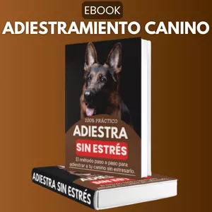 Imagen de portada para Ebook Adiestra Sin Estrés