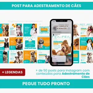 Curso PACK PARA ADESTRAMENTO DE CÃES