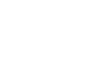 Braun Sales Academy logo