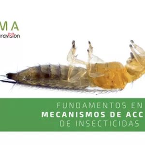 Imagen de portada para Curso online (CQP1) Mecanismos de acción y modo de entrada de los insecticidas