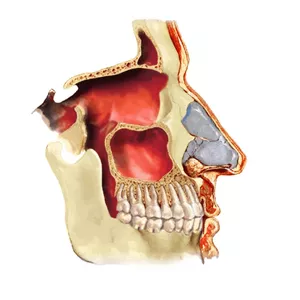 Imagem de capa para o Serviço online Avaliação Energética Quântica