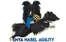 Enya Habel Onlinekurs