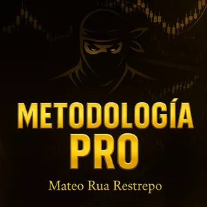 Imagen de portada para Ebook Metodologia Pro