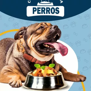 Imagen de portada para Ebook Comida casera para Perros