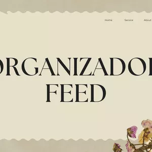 Imagem de capa para o Ebook ORGANIZADOR FEED
