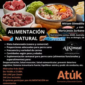 Imagen de portada para Curso online Las bases de una buena alimentación natural en perros
