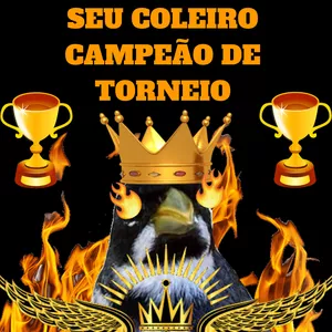 Imagem de capa para o Ebook MEXIDAS PARA COLEIRO,MANEJO PARA COLEIRO CAMPEÃO DE TORNEIO