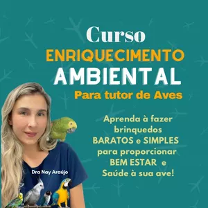 Imagem de capa para o Curso online Enriquecimento Ambiental Para tutor de Aves 