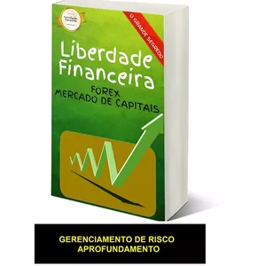 Imagem de capa para o Ebook 3 - Gerenciamento de Risco - aprofundamento