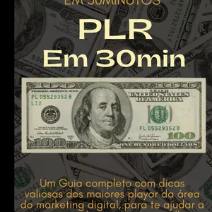 Imagem de capa para o Ebook PLR EM 30MIN 