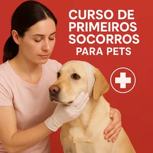 Imagem de capa para o Curso online Curso de Primeiros Socorros para Pets