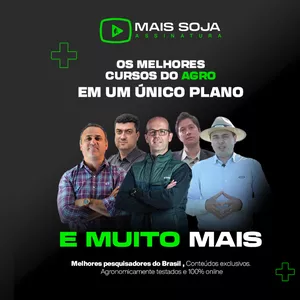 Imagem de capa para o Curso online Assinatura Mais Soja
