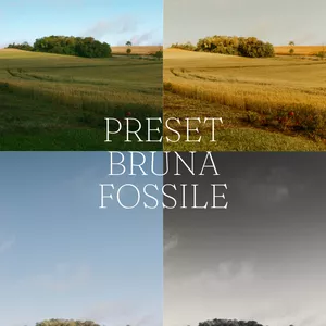 Imagem de capa para o Curso online Pack de Presets Bruna Fossile