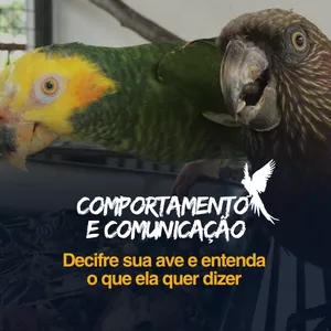 COMPORTAMENTO E COMUNICAÇÃO DAS AVES