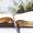 Online Bible Institute