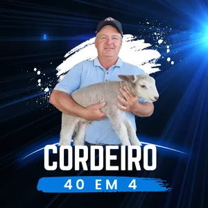 Imagem do curso Especialização Cordeiro 40 em 4
