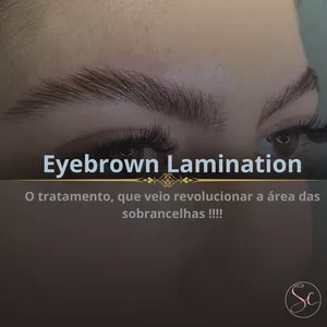 Imagem do curso SOBRANCELHAS NATURAIS - Crescimento e tratamento das sobrancelhas, COMO VOCÊ NUNCA VIU!