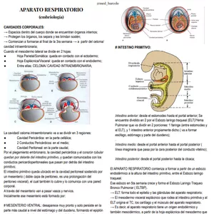 Imagen de portada para Curso online Aparato respiratorio - embrio