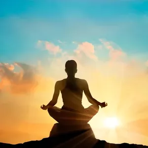 Imagem de capa para o Curso online Viva Leve 