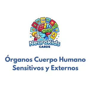 Imagen de portada para Ebook Órganos Cuerpo Humano - Sensitivos y Externos