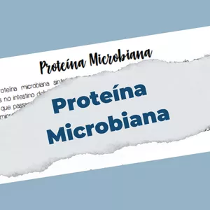 Imagem de capa para o Ebook Proteína Microbiana