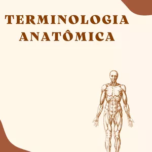 Imagem de capa para o Ebook E-book Terminologia Anatômica