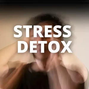 Cover image for Online course STRESS DETOX: 21-day program to reduce stress and live calmly