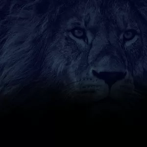 Imagem de capa para o Ebook Homem de Valor : o caminho para deixar de ser apenas um bom moço e se tornar um marido que sua esposa admira de verdade