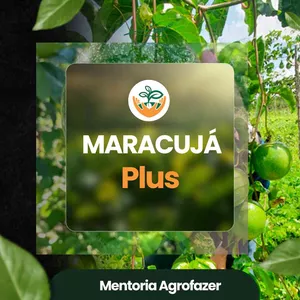 Imagem de capa para o Curso online CONSULTORIA MARACUJA PLUS