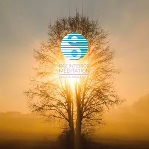 Imagen de portada para Curso online Paz Interior