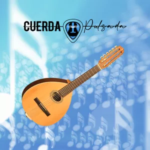 Imagen de portada para Curso online LAÚD NIVEL 1