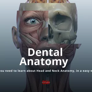 Cover image for Online course ING- Dental Anatomy