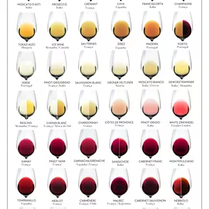 Imagem de capa para o Curso online "Wine Not?" Pôster Digital Vinhos - Alta Resolução para Estudo e Decoração