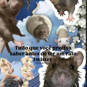 Imagem de capa para o Ebook Guia- tudo q você precisa saber antes de ter um rato twister 