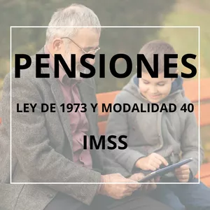 Imagen de portada para Curso online PENSIONES POR LA LEY DE 1973 Y MODALIDAD 40