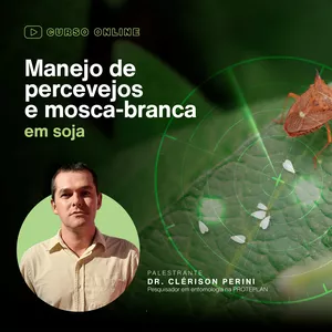 Imagem de capa para o Curso online Manejo de percevejos e mosca branca em soja