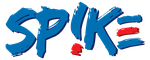 SP!KE Customer Experience Strategies