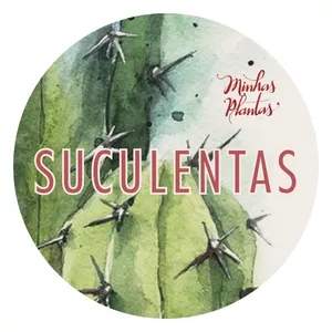 Imagem de capa para o Curso online Suculentas – com Carol Costa