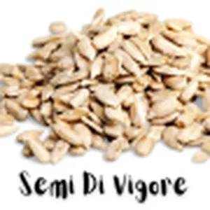 Cover image for Ebook Seme