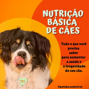 Imagem de capa para o Curso online Nutrição básica de cães 2.0