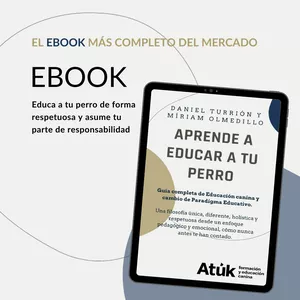 Imagen de portada para Ebook Aprende a educar a tu perro (EBOOK)