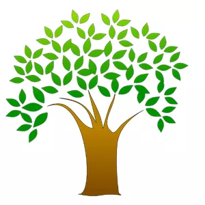 Imagem de capa para o Curso online Clube Sistema Saudável