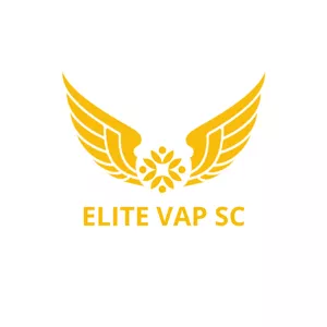 Imagem de capa para o Curso online Elite VAP SC