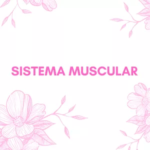 Imagem de capa para o Ebook Sistema Muscular