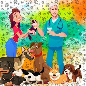 Imagen de portada para Curso online Pack Ken Varios