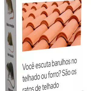Imagem de capa para o Curso online Curso como exterminar ratos sem raticida