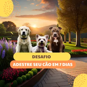 Imagem de capa para o Ebook Desafio: adestre seu cão em sete dias!