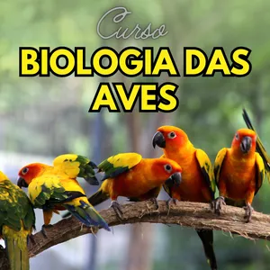 Curso BIOLOGIA DAS ÁVES