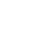 Blisk