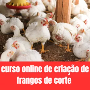 Imagem de capa para o Curso online curso online de criação de frangos de corte